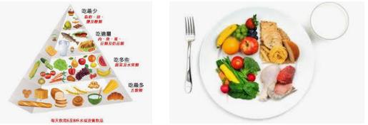 201901211548035969976115.png 均衡飲食