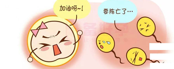 202104201618885862372809.jpg 男性不育